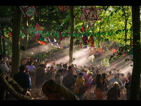 Boomtown Fair - Psychedelic Gatherings