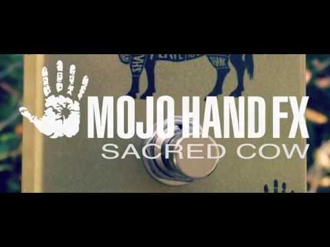 Mojo Hand Fx Sacred Cow demo by Lance Seymour