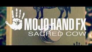 Video thumbnail for Mojo Hand Fx Sacred Cow demo by Lance Seymour by Lance Seymour