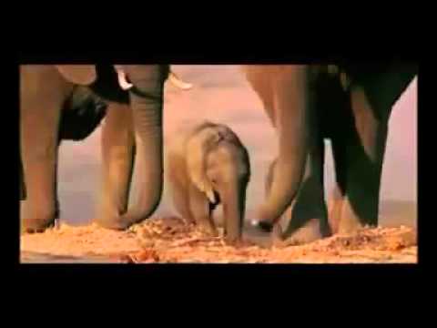 Discovery of the Poor - Narrator Arnaldo