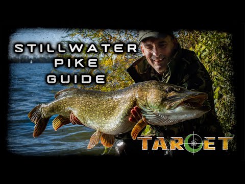 Stillwater Pike Guide | Alan Stagg | Pike Fishing