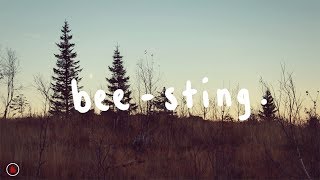 The Wombats - Bee-Sting (Lyrics)