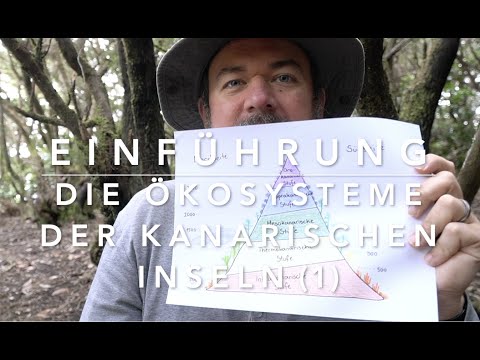 New series: The ecosystems of the Canary Islands