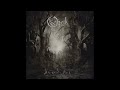 Opeth - The Leper Affinity (Audio)