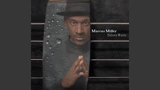 Silver Rain