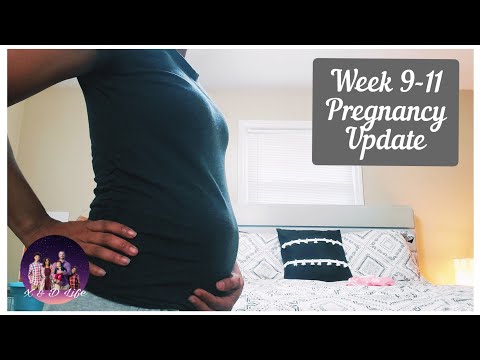 9, 10, & 11 Week Pregnancy Update | Belly Shot + Disappearing Symptoms