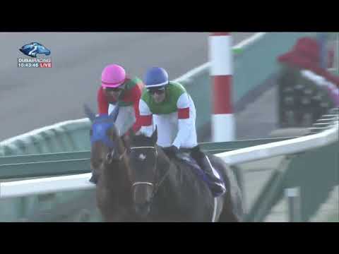 2018.12.20 Hopeful Stakes (JPN) - Saturnalia