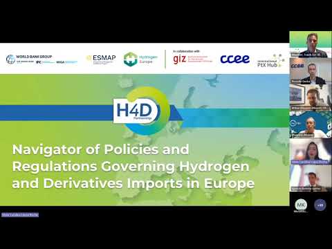 Webinar: Exploring Policies and Regulations Governing Hydrogen and Derivatives Imports in the EU