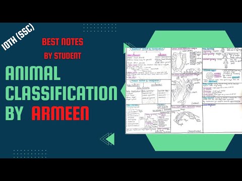 Animal classification By Student Armeen (last mint revision)