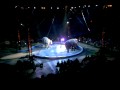 Ringling Circus