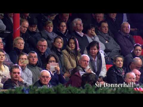 Sir Donnerhall Hengstkollektion Englisch 2019