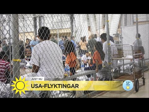 Inlåsta barn chockar världen: "Deras barndom tar slut" - Nyhetsmorgon (TV4)