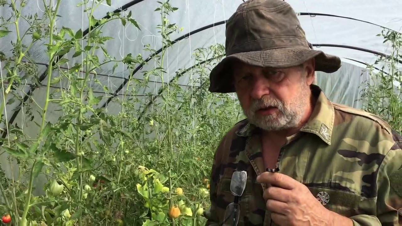 Nasiona to przyszłość przetrwania? Jak samodzielnie produkować żywność od podstaw