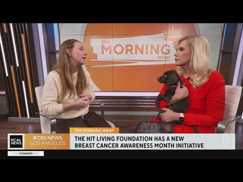 HIT Living Foundation is a foster-based rescue organization with ...