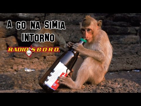 A Go Na Simia Intorno - RadioSboro