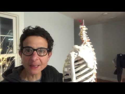 Force Couple Upward & Downward Rotation