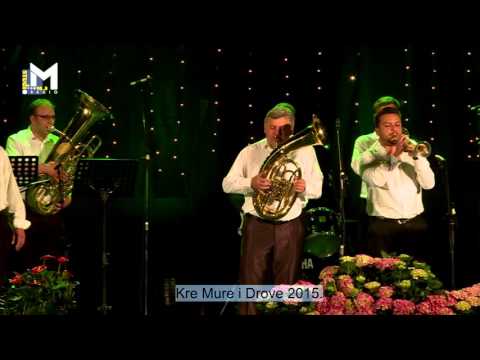 LG Skandal bend - Dekanovec (festival Kre Mure i Drove, Prelog 2015.)