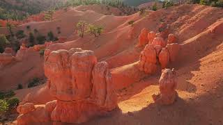 Thunder Mountain Singletrack