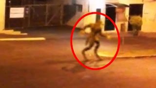 5 Mythical Creatures Caught On Camera & Spotted In Real Life!