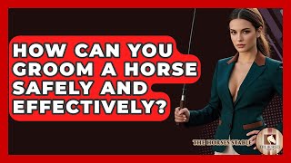 How Can You Groom A Horse Safely And Effectively? - The Horses Stable