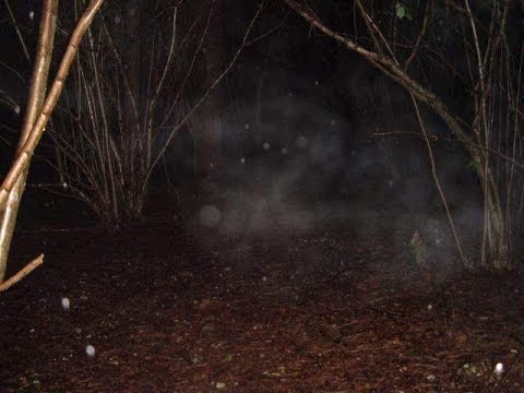 The Shadow Walkers - Cholderton Farm - 1st investigation Trailer