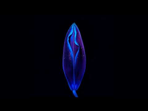 James Heather - 'Passing Soul' (Official Audio)