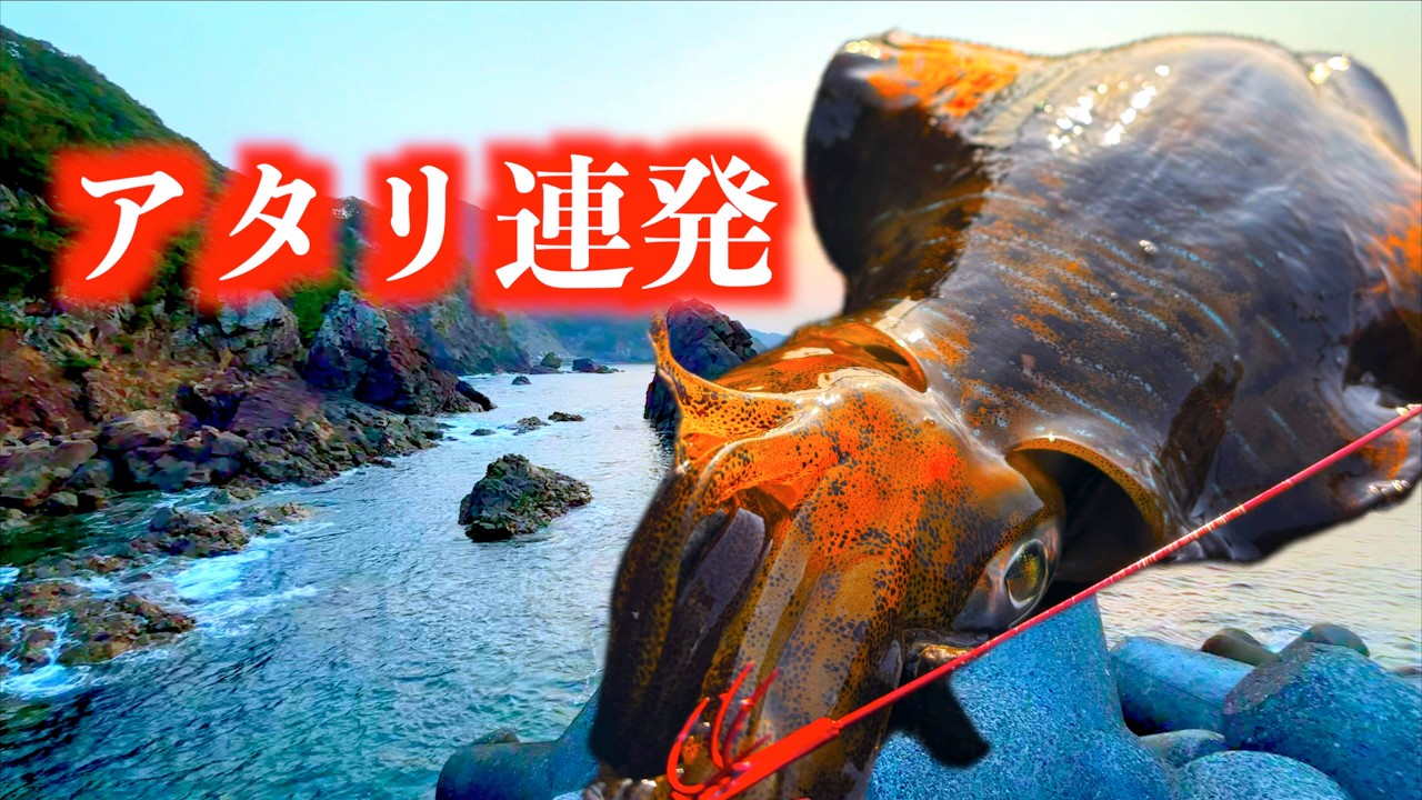 アジ15匹が瞬殺！？春アオリイカを追って！美波町のヤエン釣りが過酷すぎた…