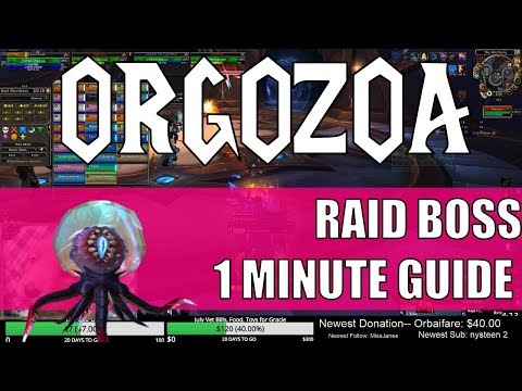 Orgozoa - Eternal Palace Raid Boss 1 Minute Guide