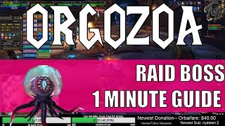 Orgozoa - Eternal Palace Raid Boss 1 Minute Guide