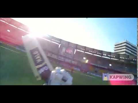 shane watson helmet cam slow motion