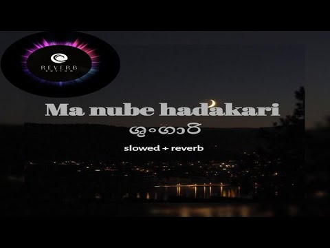 Shungari | ශුංගාරී | Nimaya walagedra [ Slowed + Reverb ] | Ma nube hadakari
