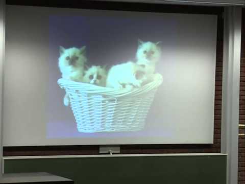 [FOSDEM 2014] Configuration Management 101