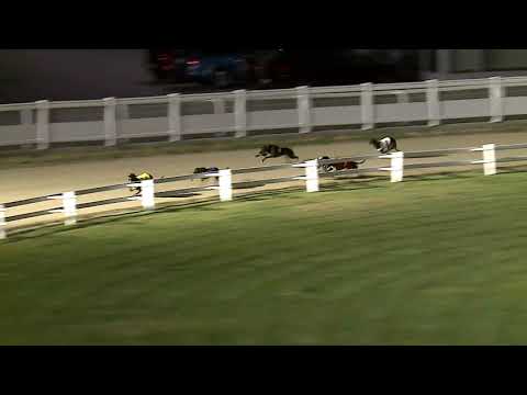 2021.06.25. 03. futam - Derby Day Sprint Elődöntő III. futam