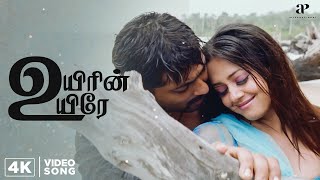 Download lagu Uyirin Uyirae - 4K Video | Kaakha Kaakha Songs | Suriya | Jyothika | Harris Jayaraj | HBD Suriya mp3