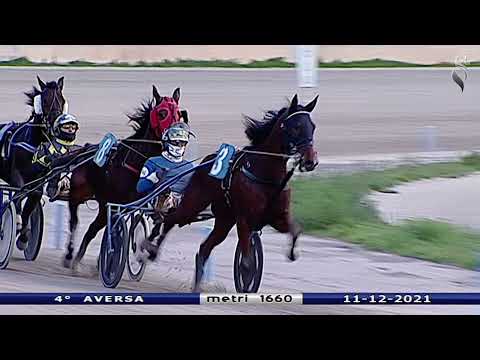 Aversa trotto 11 Dicembre 2021 - 4° Corsa