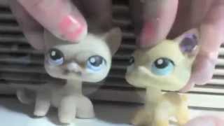 LPS MV &quot;I Believe In This Life&quot;