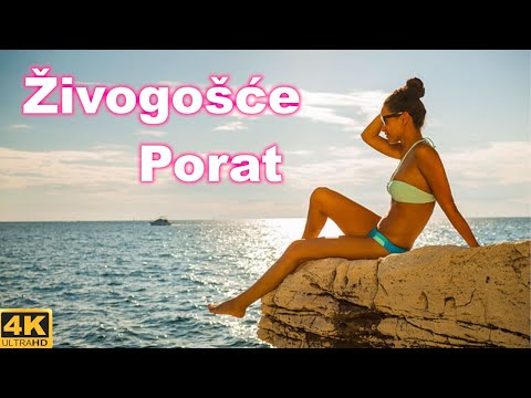 Živogošće Porat Croatia 🇭🇷 4K Walking Tour