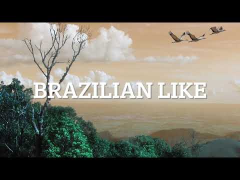 Brazilian Like (M.Petrucciani) Backing track + music sheet