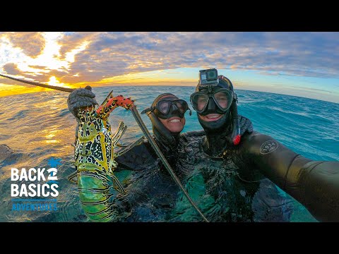 Living From What We Catch On Tropical Island: RAW CRAYFISH (Ep: 15)