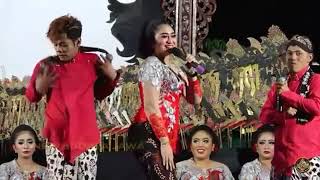 Download lagu Story wa-percil masuk pak eko mp3