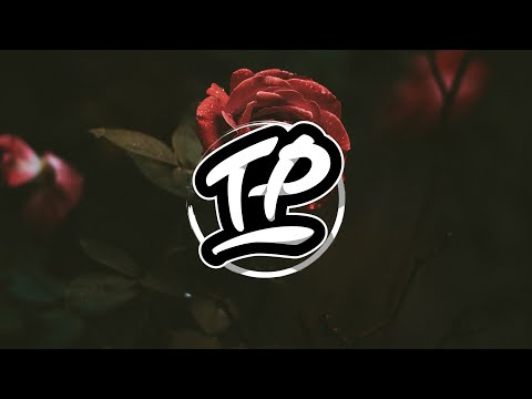 Edgar Willow - You Are My Everything [Trap Party Release]