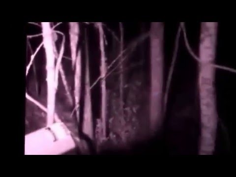 Filmen om Sandträsk