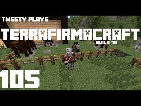 Tweety plays Terrafirmacraft ep 105