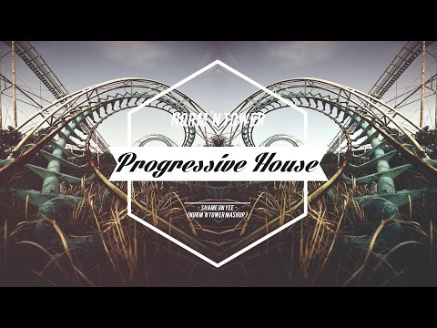 Shame On Yee (Norm 'N Tower Mashup) - Avicii vs. Deorro