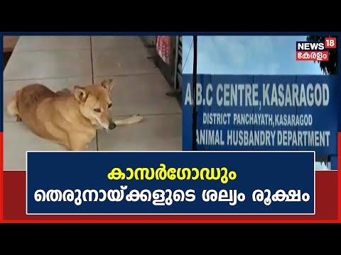 Stray Dog Attack | Kasargodഉം തെരുനായ്ക്കളുടെ ശല്യം രൂക്ഷം | Kerala News
