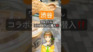 🐺ウルフくんコラボカフェ☕に潜入！ドリンクやクッキー🐺グッズなど盛りだくさんで嬉しい～！！#ウルフくん #渋谷 #コラボカフェ #イベント #vtuber