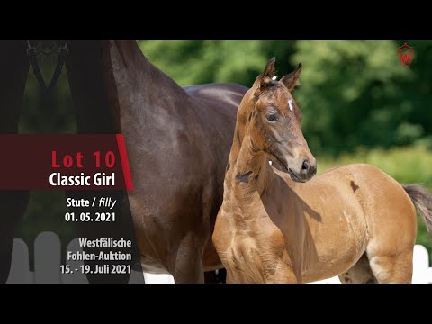 Westfälische Fohlen-Auktion Lot 10 Clasic Girl Stute v. Conthargos - Diarado