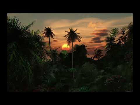 Tim Wheater - En Trance