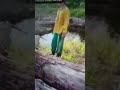 Detik Detik Manusia Dimakan Buaya Kalimantan Utara Shorts