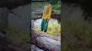 Download lagu Detik detik manusia dimakan buaya Kalimantan Utara #shorts mp3